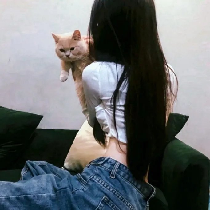 坐困愁屋